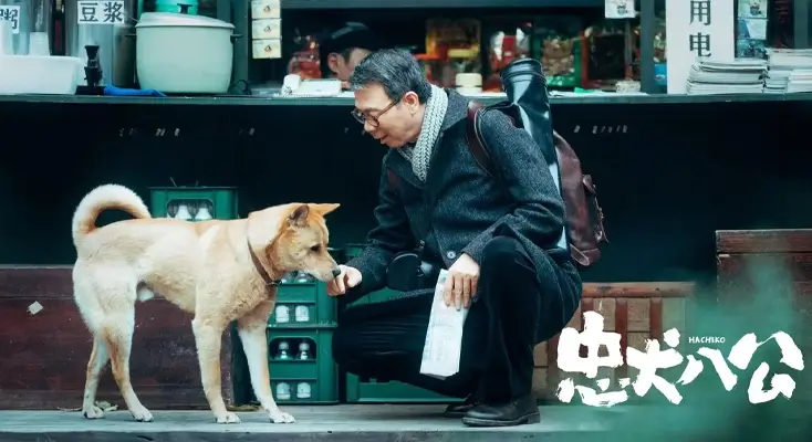 海外版权限制怎么办